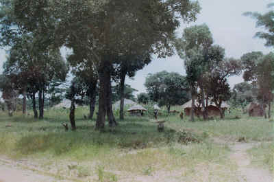 A village scene in Northern Province, Northern Rhodesia..