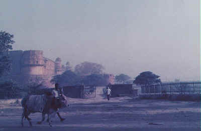 Agra Fort in the distance.