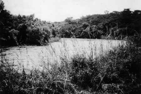 The Lunga River, Mwinilunga 1952